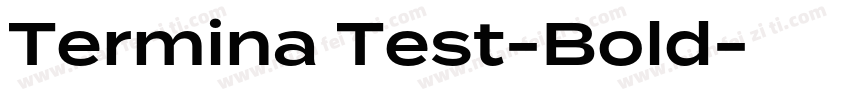 Termina Test-Bold字体转换